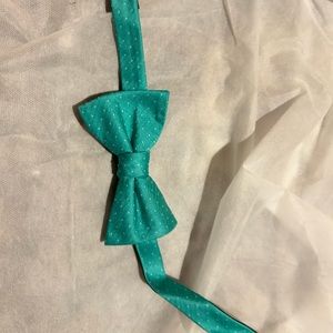 Teal polka dot bow tie